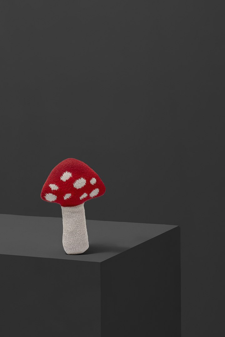 Mushroom rattle Mushroom rattle