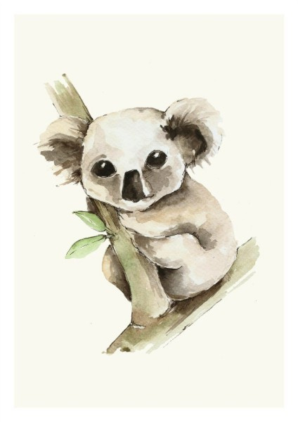 Plakat Koala Plakat Koala