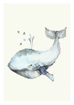 Plakat Wieloryb