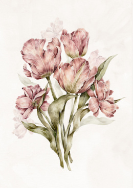 Plakat Tulipany