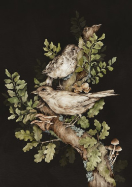 Plakat ptaki na gałęzi