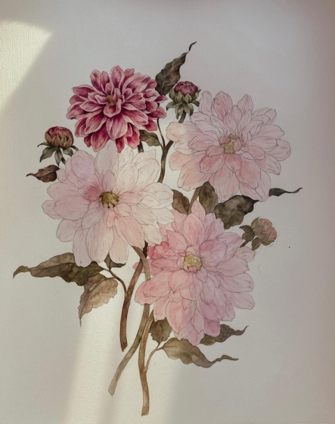 Dalia unikatowa Dalia unikatowa