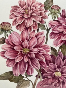 Dalia unikatowa